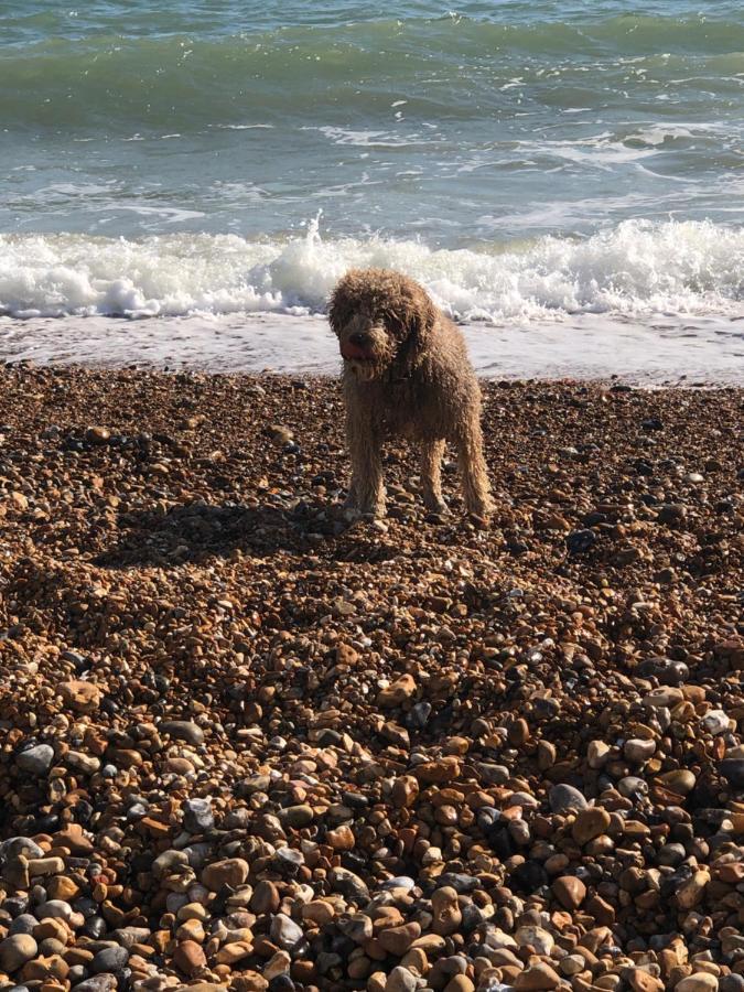Poets Rest, Free Parking, Ev Socket Fees Apply Walk To Beach Brighton Eksteriør billede